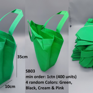Reuse Eco Vertical Shopping Bag 25*10*35H (400 a carton)