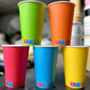 500ml Disposable Coffee Cup 25pcs (20/box)